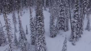 Snowmobile Seeley Lake MT drone footage [upl. by Maretz890]