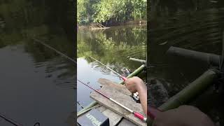 fishing nature fishingvideo shortsvideo fisherboy bigfish Shorts twolessfishinthesea fishin [upl. by Aldrich]