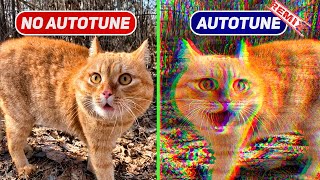 CAT – Meow Singing ORIGINAL vs AUTOTUNE edit remix [upl. by Arrat]