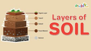 The 5 Layers of Soil  Soil formation  Best educational video for kids  plufocom [upl. by Imelida]