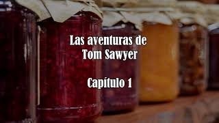 Audiolibro Las Aventuras de Tom Sawyer Capítulos 14 [upl. by Kitty]