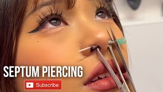 Septum nose piercing for this beauty ⚡️ Don’t try this at home septum nosepiercing [upl. by Accisej]