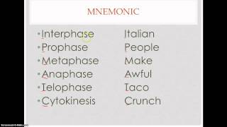 Memorize the Cell Cycle [upl. by Nannahs410]