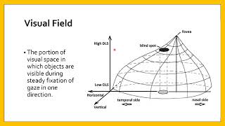 Central Visual Field Techniques of evaluation [upl. by Farlee725]