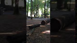 Video of Potlatch State Park WA from Colleen T [upl. by Mullane]