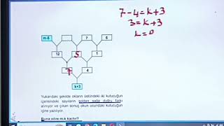 7 SINIF SAYISAL MANTIK SORULARI [upl. by Yasu]