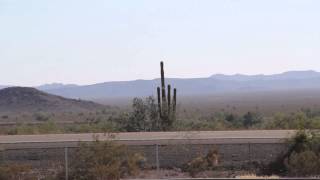 Massive Saguaro Cactus off the Interstate 10 Arizona Maricopa County [upl. by Aivatal]