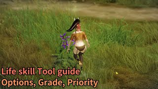 Lost Ark Life skill Tool guide [upl. by Yma]