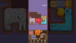 Puzzle Cat Level 35 shorts short gaming games cat [upl. by Ylra]