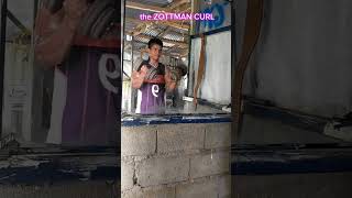 the ZOTTMAN CURL forearms arms workout fitness gym [upl. by Ardek313]