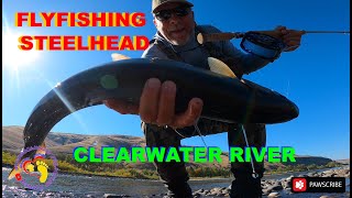 Clearwater River Idaho Steelhead Spey Fly Fishing 4x4 truck camper adventure Trailer [upl. by Avaria]