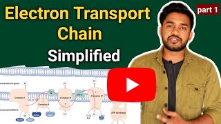 Electron transport chain  Oxidative phosphorylation  made easy [upl. by Richella]