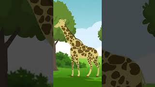 Moti Aur Giraffe  One Minute Story  Cartoon  cartoonanimal [upl. by Eiramnna]