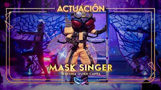 La Mosca canta What makes you beautiful  Mask Singer Adivina quién canta [upl. by Airalednac70]