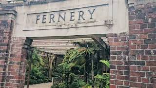 Fernery at Auckland domain [upl. by Ellevart]