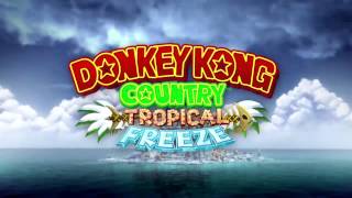 Level 31 Grassland Groove Section 2  Donkey Kong Country Tropical Freeze  Music [upl. by Dennison]