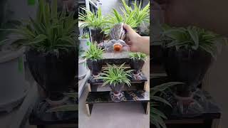 Recycle bottle plastic cut for grow flowers put in your room and garden so easy plants garden diy [upl. by Goodard]