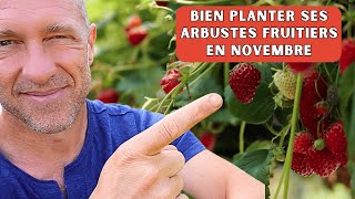 Plantation darbustes fruitiers au potager petit tuto du potager [upl. by Adyahs814]