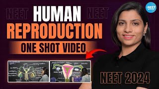 Human Reproduction Class 12 One Shot  All Theory Tricks amp PYQs  NEET 2024 Biology  Ritu Rattewal [upl. by Ayak72]