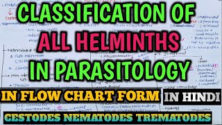 Parasitology  Classification of Helminths in Microbiology  Cestodes  Nematodes  Trematodes [upl. by Valer]