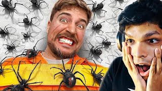 100 SPIDERS vs MAN scary challenge [upl. by Kieran]