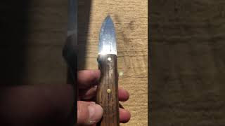 Unboxing and Reviewing the Condor Bushlore Knife [upl. by Stillmann]