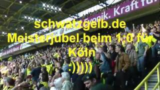 Borussia Dortmund  1 FC Nürnberg  BVB Meisterjubel 2011 10 Köln Meistertor schwatzgelbdevideo [upl. by Aenea]