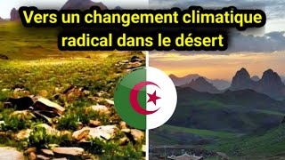 🇩🇿 Changement climatique en Algérie  pluies extrêmes défis pour le Sud et nouvelles stratégies [upl. by Werd]