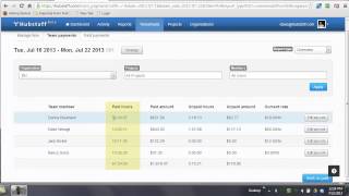 Timesheets Employee Payments Pay Rates and Past Payments [upl. by Cassandre]