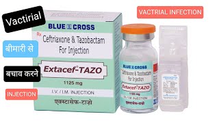 ExtacefXL Ceftriaxone ampSulbactam For Injection की पूरी जानकारी [upl. by Assenad761]