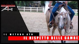 IL METODO ATH  IL CONTROLLO IN SELLA  IL RISPETTO DELLE GAMBE [upl. by Leohcin]