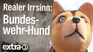 Realer Irrsinn Tierarztrechnung für BundeswehrHund  extra 3  NDR [upl. by Asinet]