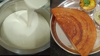 dosa batter recipe dosabatterrecipemasaladosarecipebennedosasouthindianrecipes [upl. by Garrett98]