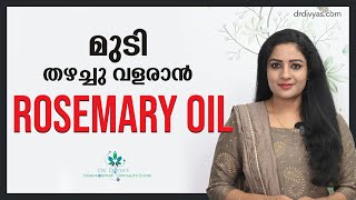 മുടി തഴച്ചു വളരാൻ Rosemary Oil അറിയേണ്ടതെല്ലാം  Most Effective Hair Growth Oil for Fast Hair Growth [upl. by Ojillib811]