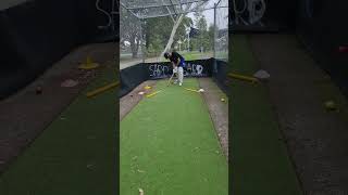 method to play inswing balls [upl. by Eerized383]