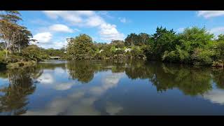 📍Lake Panorama Auckland New Zealand 🇳🇿 fyp foryou newzealand [upl. by Jair]