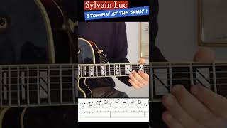 Bireli lagrène and Sylvain Luc Duet  Lalbum qui ma fait aimer la guitare jazz [upl. by Aniaj]