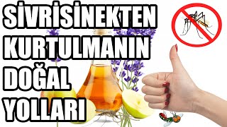 Sivrisineklerden Kurtulmanın 10 Doğal Yolu [upl. by Vyky]