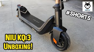 One of the BestLooking Scooters Ive Unboxed NIU KQi3 Pro Electric Scooter Shorts [upl. by Apur]