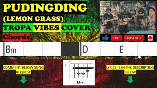 PUDINGDING  LEMON GRASS  TROPAVIBES COVER  CHORDS [upl. by Carlson]