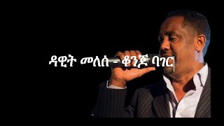 Dawit Melesse  Konjo Bager Lyrics [upl. by Ariahay]