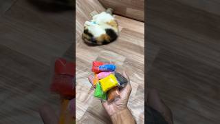 Reverse video colourful beads reverse reversevideo shorts [upl. by Notsuoh935]