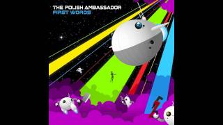 The Polish Ambassador  Kill the World at Night [upl. by Strenta]