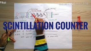 SCINTILLATION COUNTER [upl. by Nynahs]