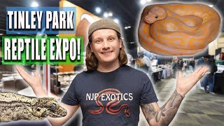 Tinley Park Reptile Expo March 2023 [upl. by Firooc]