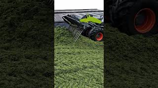 Silage 23 Pitwork Claas 1511 Torion Loading Shovel 14th May 2023 [upl. by Gussy]