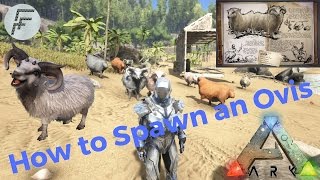 Ark Survival Evolved How to Spawn an Ovis [upl. by Nerrual73]