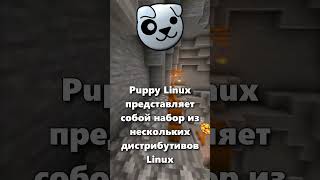 Что такое Puppy Linux [upl. by Fillian]