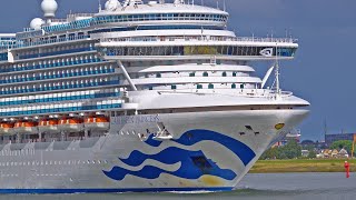 CRUISE SHIP CARIBBEAN PRINCESS SAILS DOWN NIEUWE WATERWEG TO ROTTERDAM  SHIPSPOTTING 2024 [upl. by Ecidnak502]