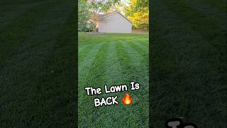 The Lawn is BACK and BETTER THAN EVER 🔥 [upl. by Sola]